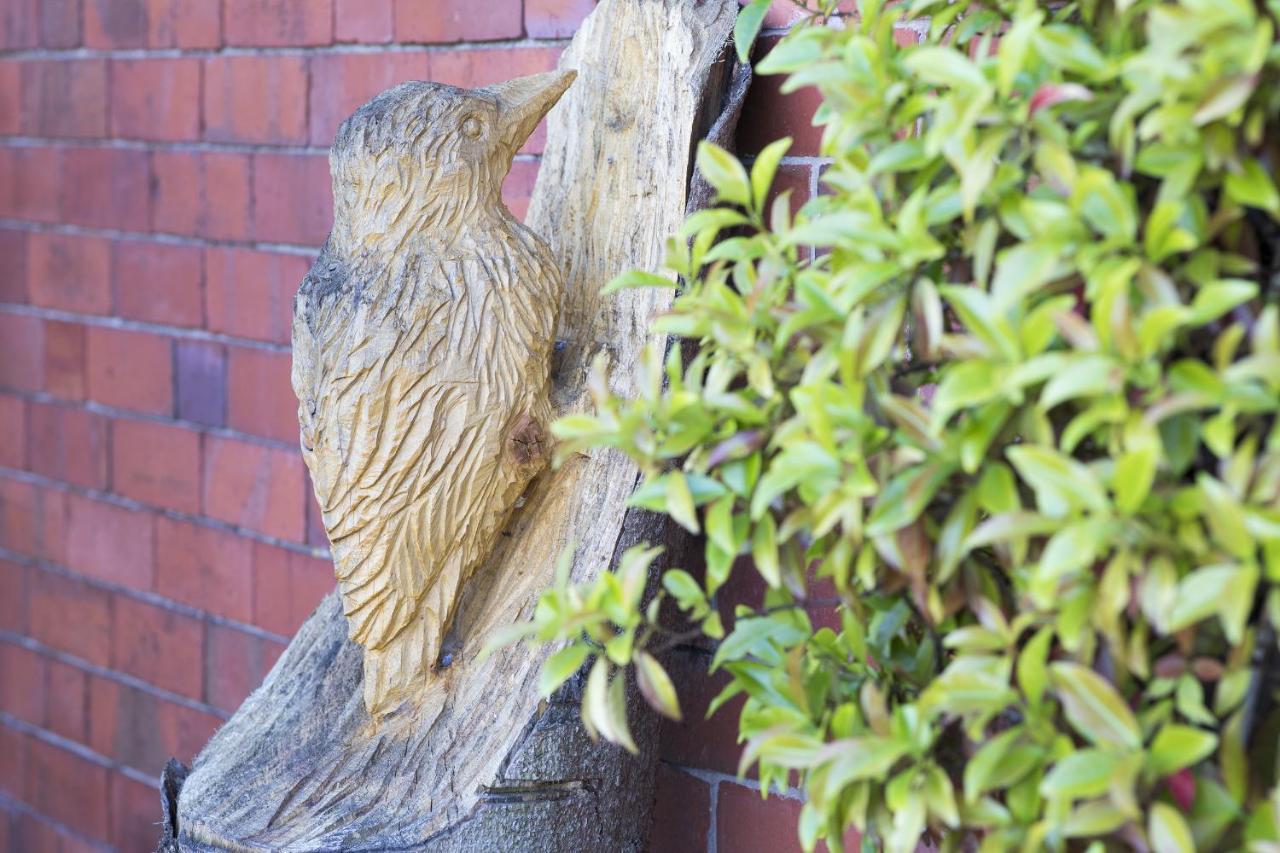 Finest Retreats - 1 Bed Llangollen Cottage - Sleeps 2 المظهر الخارجي الصورة